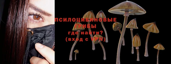 трава Армянск